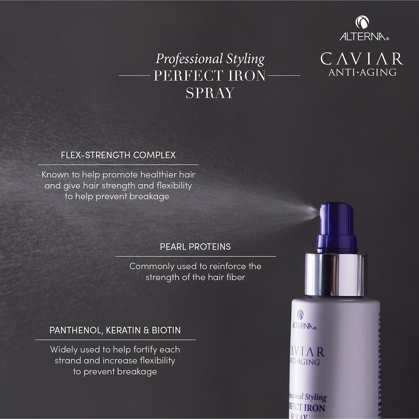 Caviar Professional Styling Perfect Iron Spray