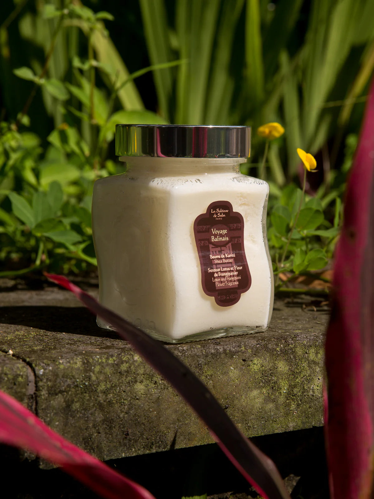 Shea Butter Lotus and Frangipani Flower Fragrance 300 g