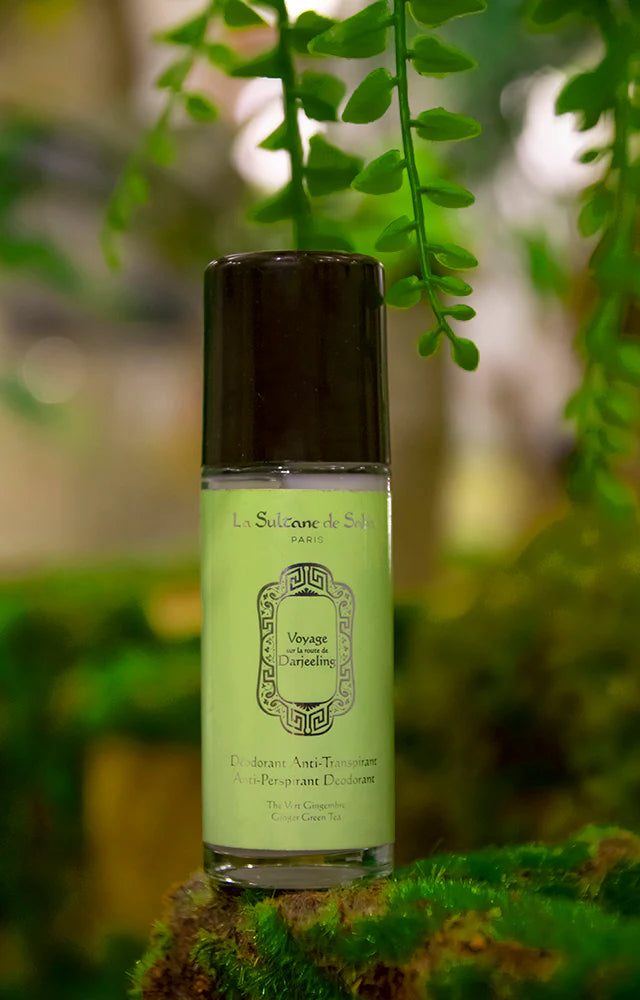 Anti-Perspirant Deodorant Ginger Green Tea Fragrance