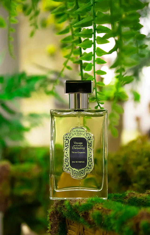 Perfume Ginger Green Tea Fragrance 100 ml
