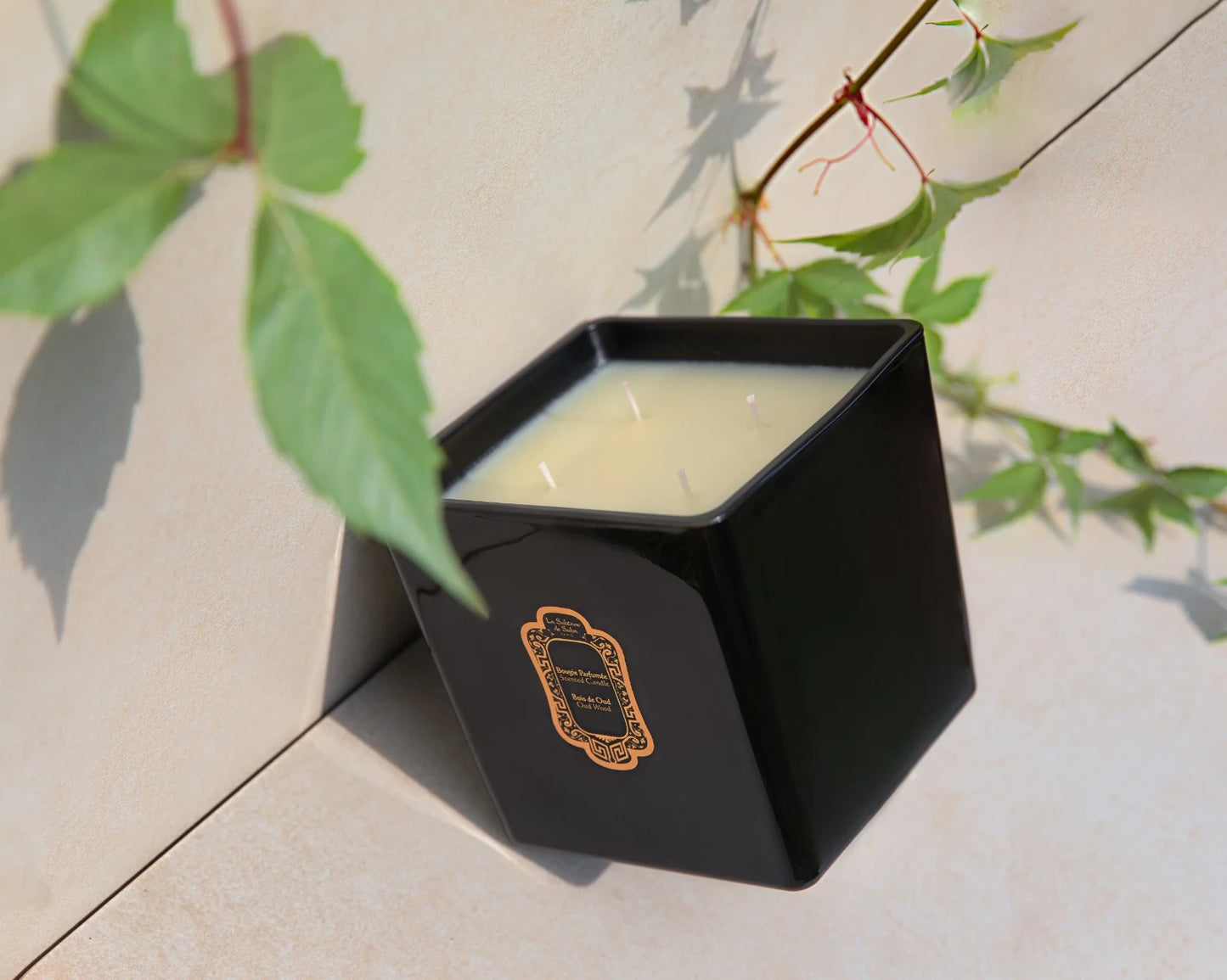 CANDLE OUD WOOD 400 g