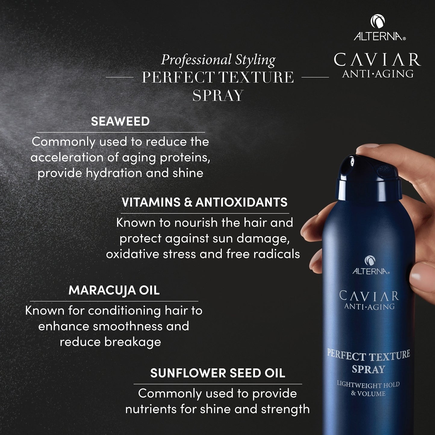 Caviar Professional Styling Perfect Texture Spray