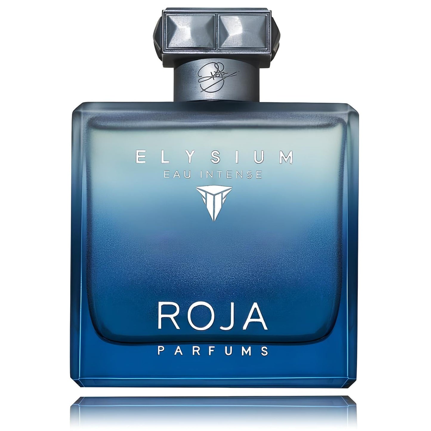 Roja Parfums Elysium Eau Intense EDP M 100 ml